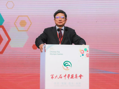 第六屆中華茶奧會活動精彩短視頻